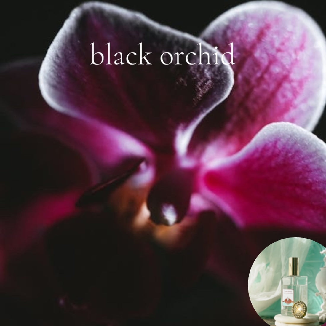 BLACK ORCHID scented Room and Body Spray - BOGO DEAL