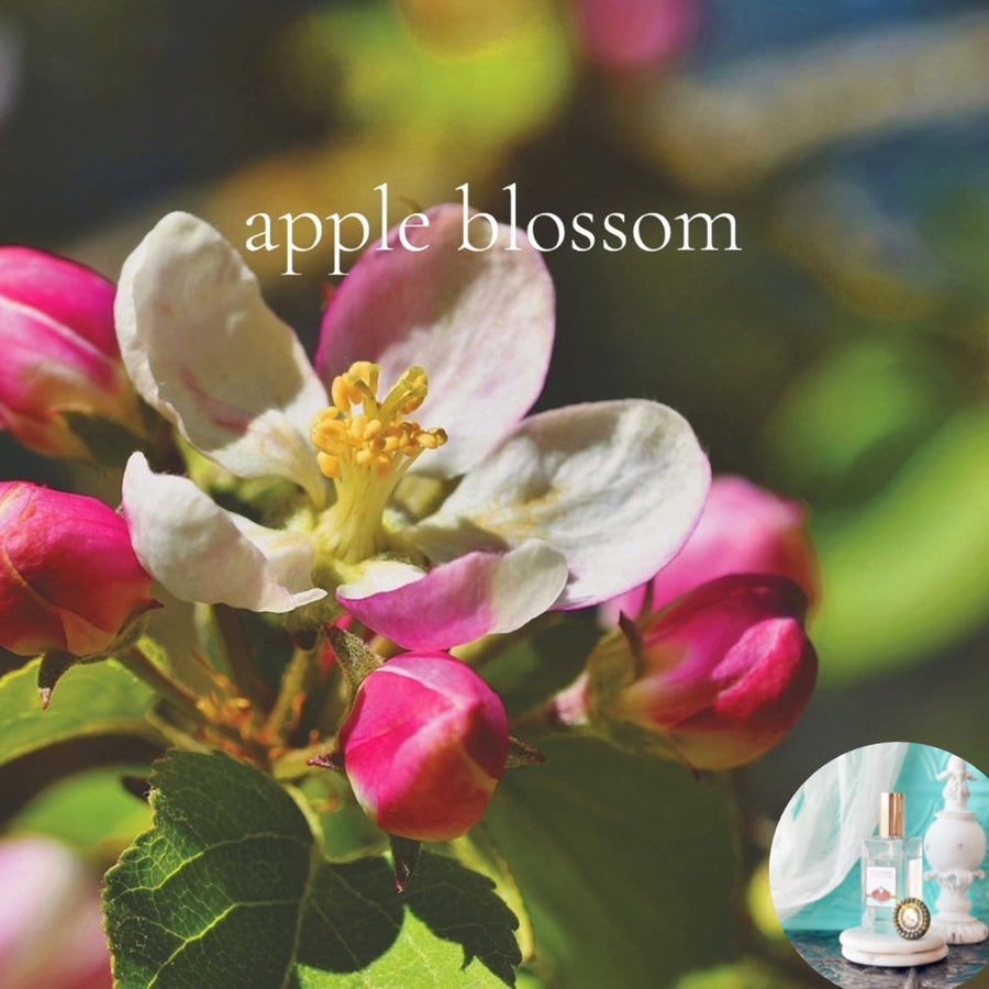 APPLE BLOSSOM scented Room and Body Spray - BOGO DEAL