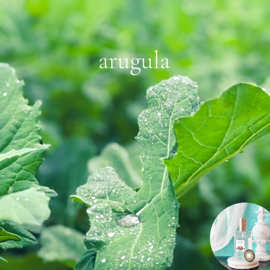 ARUGULA scented Room and Body Spray - BOGO DEAL