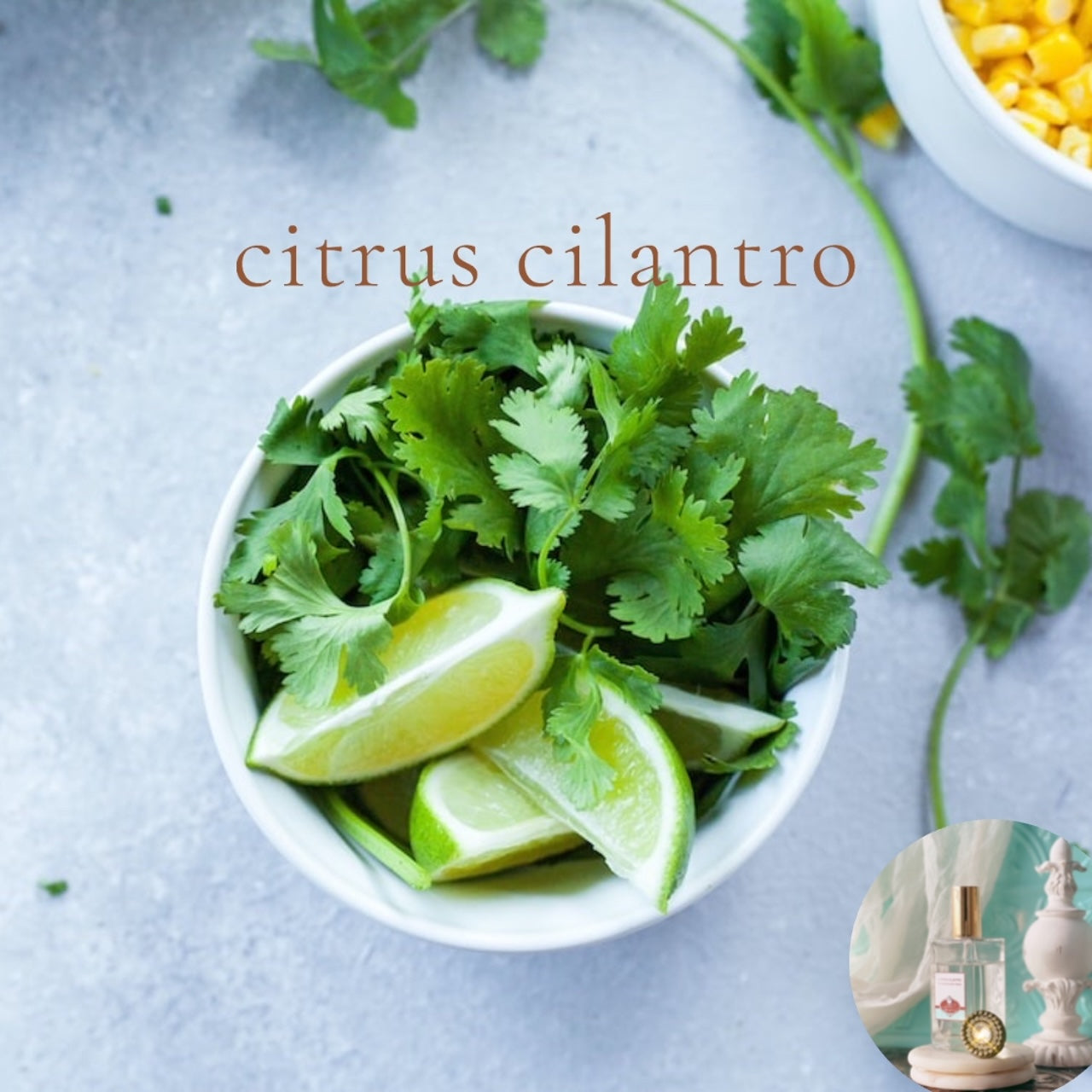 CITRUS CILANTRO scented Room and Body Spray - BOGO DEAL – Skin Like Butter