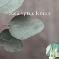 EUCALYPTUS LEMON scented Room and Body Spray - BOGO DEAL