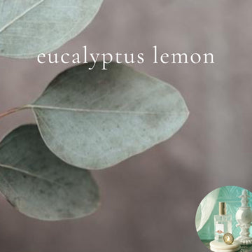 EUCALYPTUS LEMON scented Room and Body Spray - BOGO DEAL