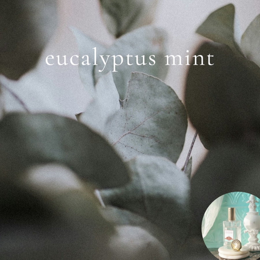 EUCALYPTUS MINT scented Room and Body Spray - BOGO DEAL