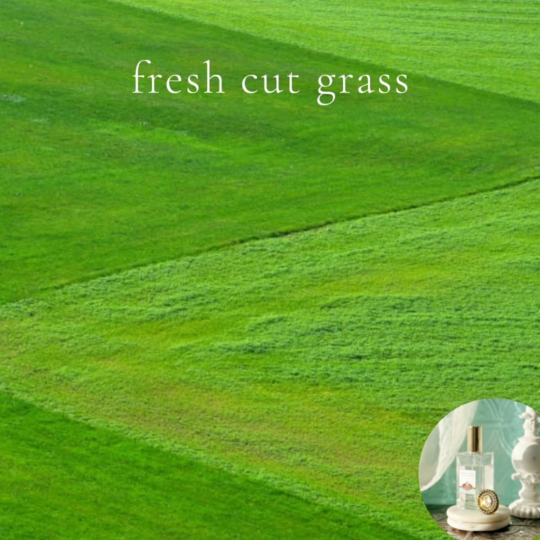 FRESH CUT GRASS scented Room and Body Spray - BOGO DEAL