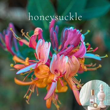 HONEYSUCKLE scented Room and Body Spray  - best seller!!!