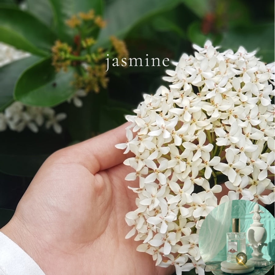 JASMINE scented Room and Body Spray - BOGO DEAL