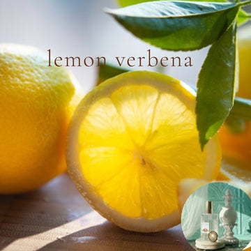 LEMON VERBENA scented Room and Body Spray - BOGO DEAL