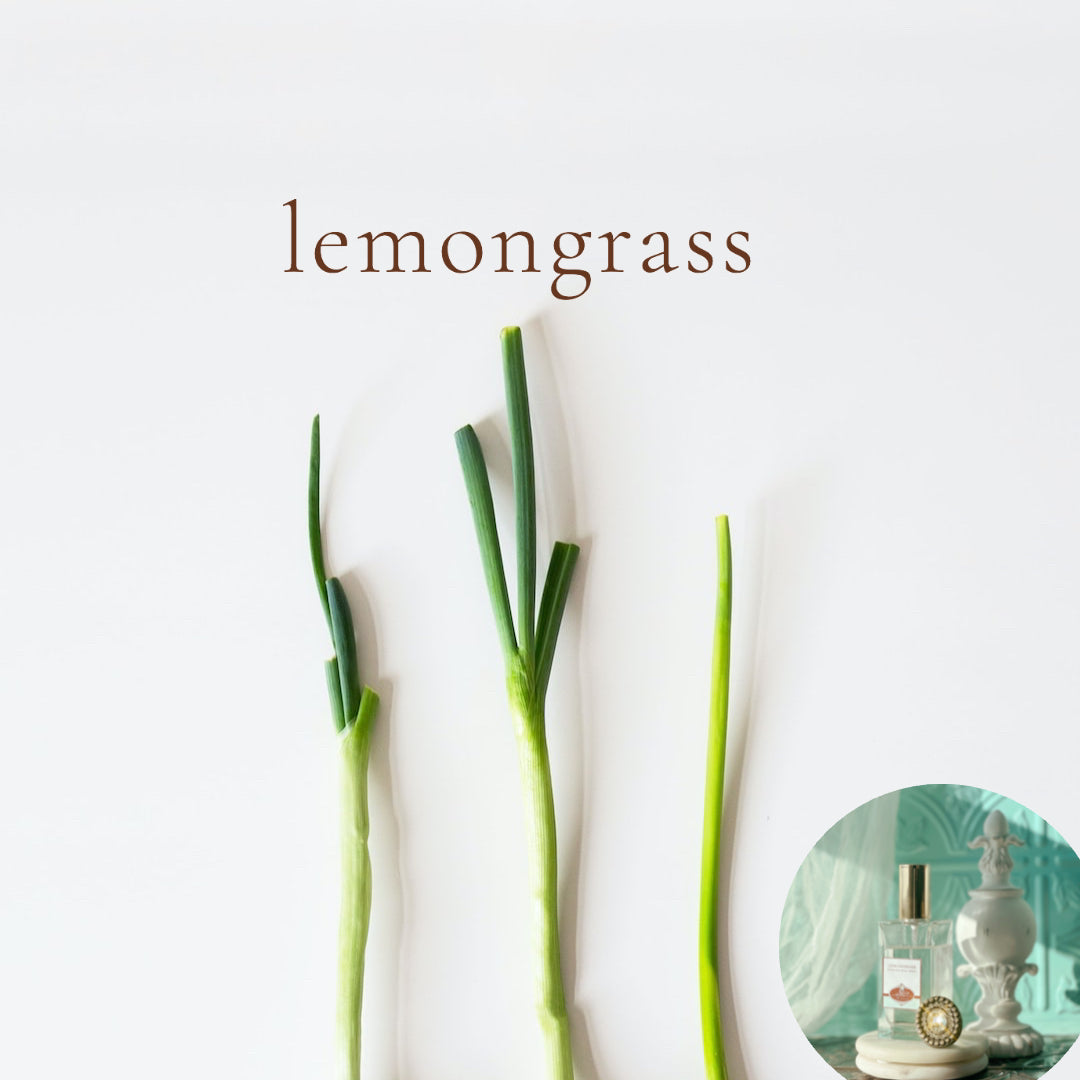 LEMONGRASS scented Room and Body Spray - BOGO DEAL