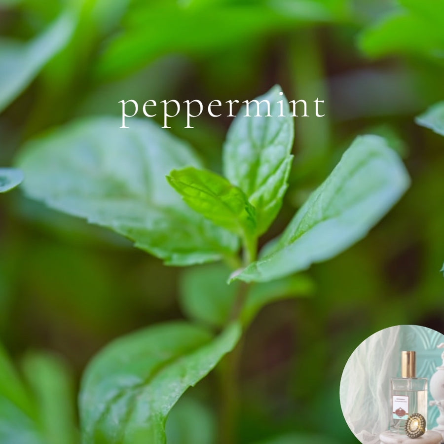 PEPPERMINT - Room and Body Spray - BOGO DEAL