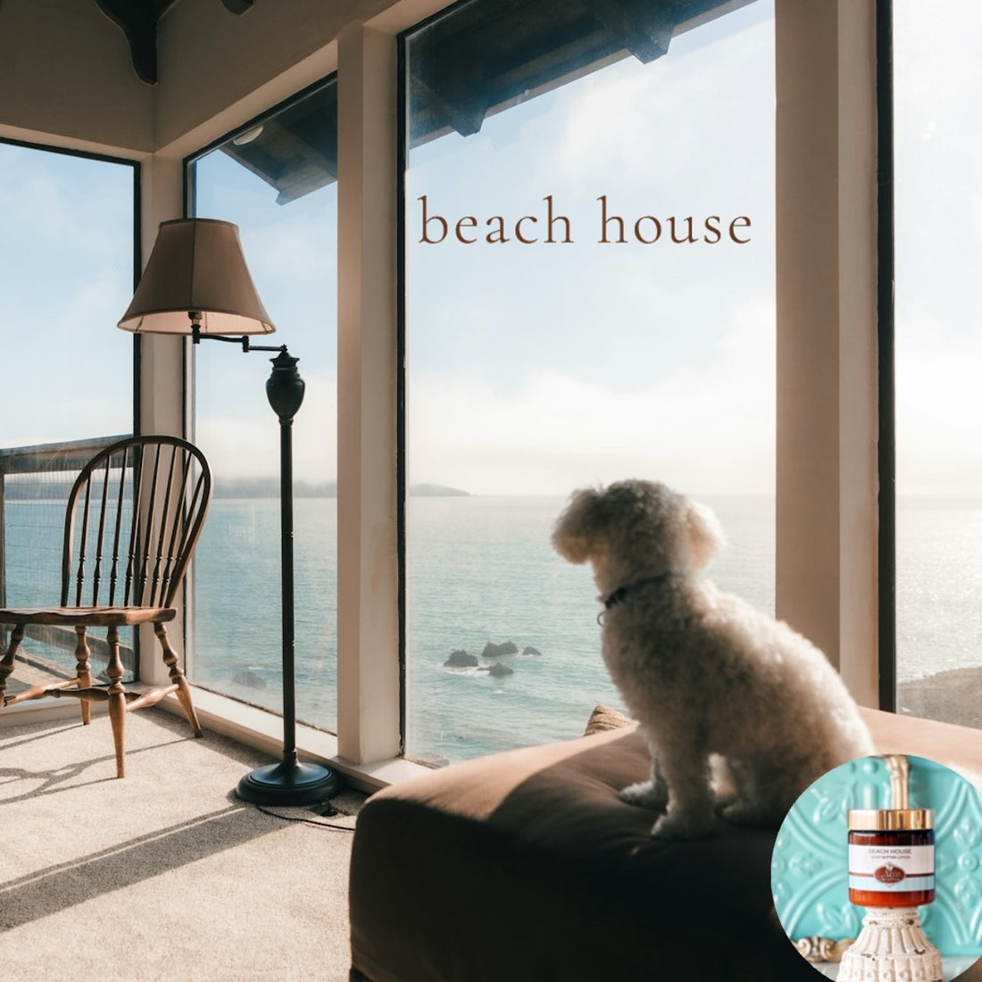 BEACH HOUSE pumpkin and shea butter sugar body scrub