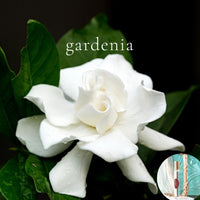 GARDENIA Scented Roll On Perfume Deal ~  Buy 1 get one 50% off-use coupon code 2PLEASE