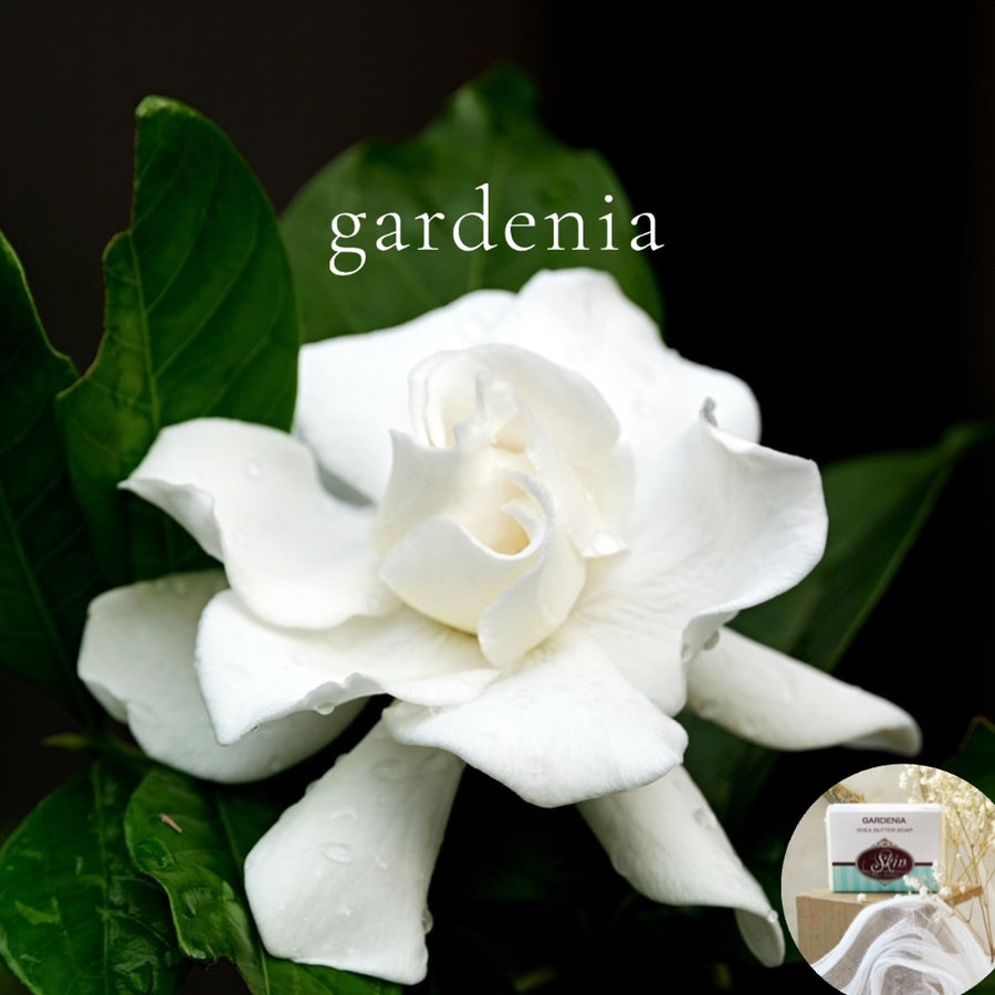 GARDENIA - Skin Like Butter - Shea Butter 4 oz Soap Bar