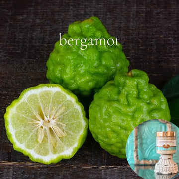 BERGAMOT pumpkin and shea butter sugar body scrub