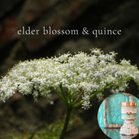 ELDER BLOSSOM AND QUINCE scented pumpkin and shea butter sugar body scrub