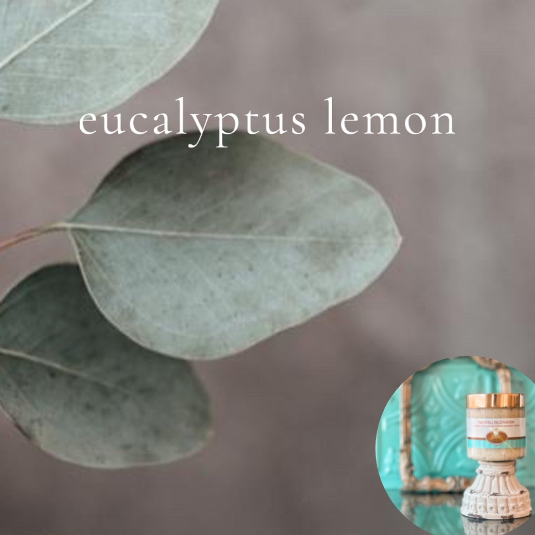 EUCALYPTUS LEMON scented pumpkin and shea butter sugar body scrub