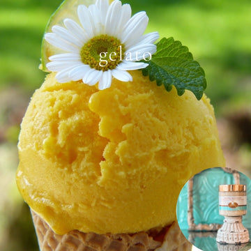 GELATO scented pumpkin and shea butter sugar body scrub