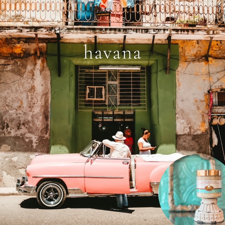 HAVANA scented pumpkin and shea butter sugar body scrub