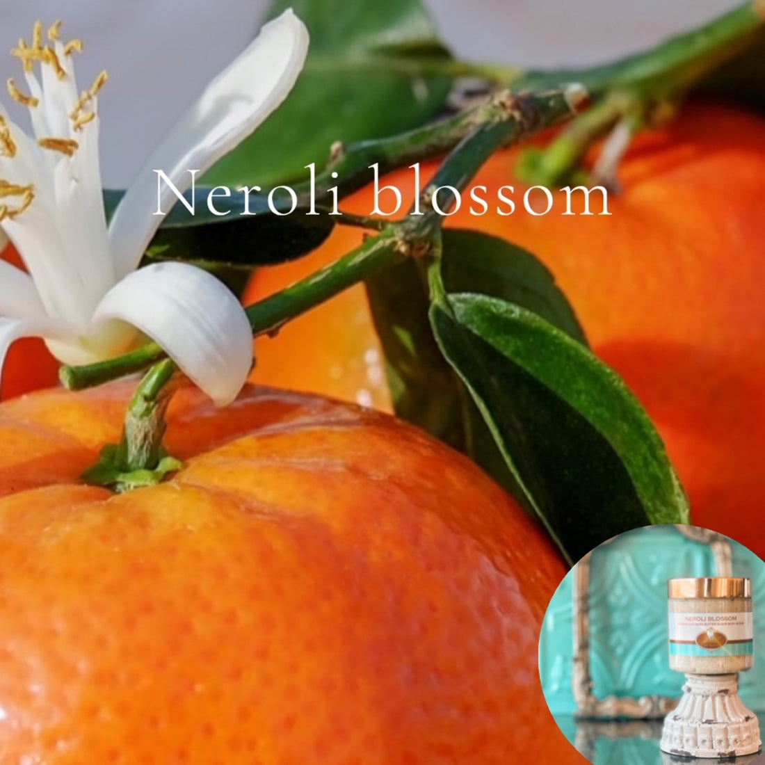 NEROLI BLOSSOM scented pumpkin and shea butter sugar body scrub