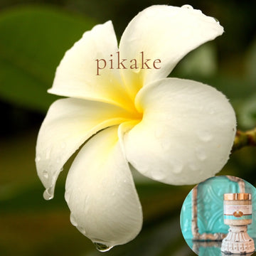 PIKAKE scented pumpkin and shea butter sugar body scrub