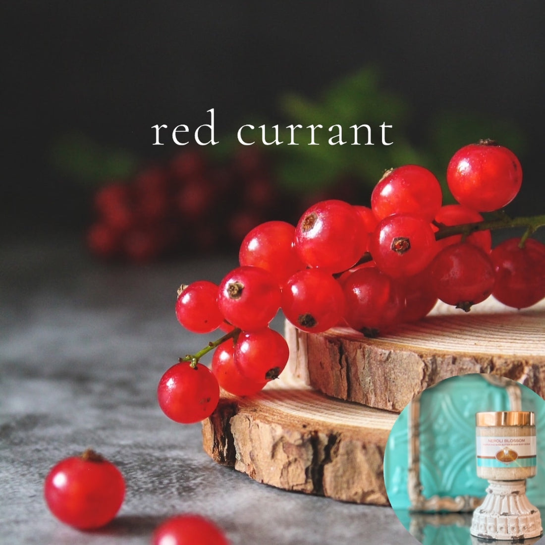 RED CURRANT scented pumpkin and shea butter sugar body scrub