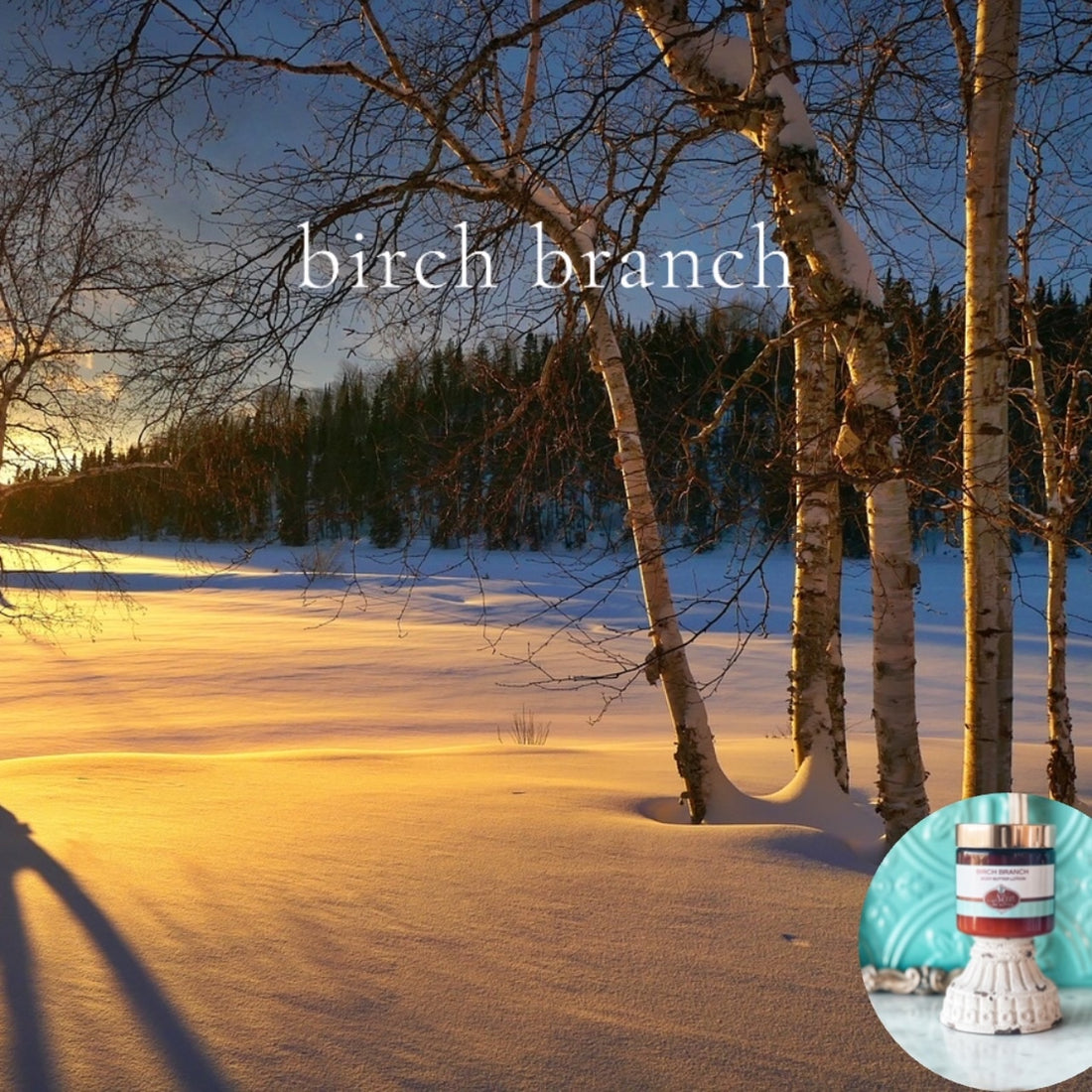 BIRCH  BRANCH scented thick luxurious Body Butter in 2 oz to 16 oz jars or bottles